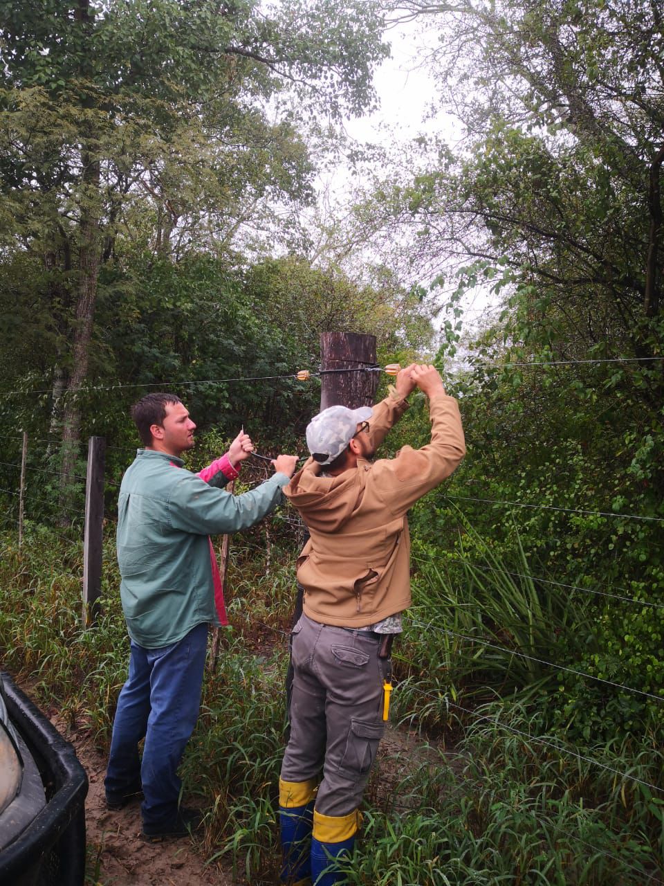 Panelhäuser aufstellen