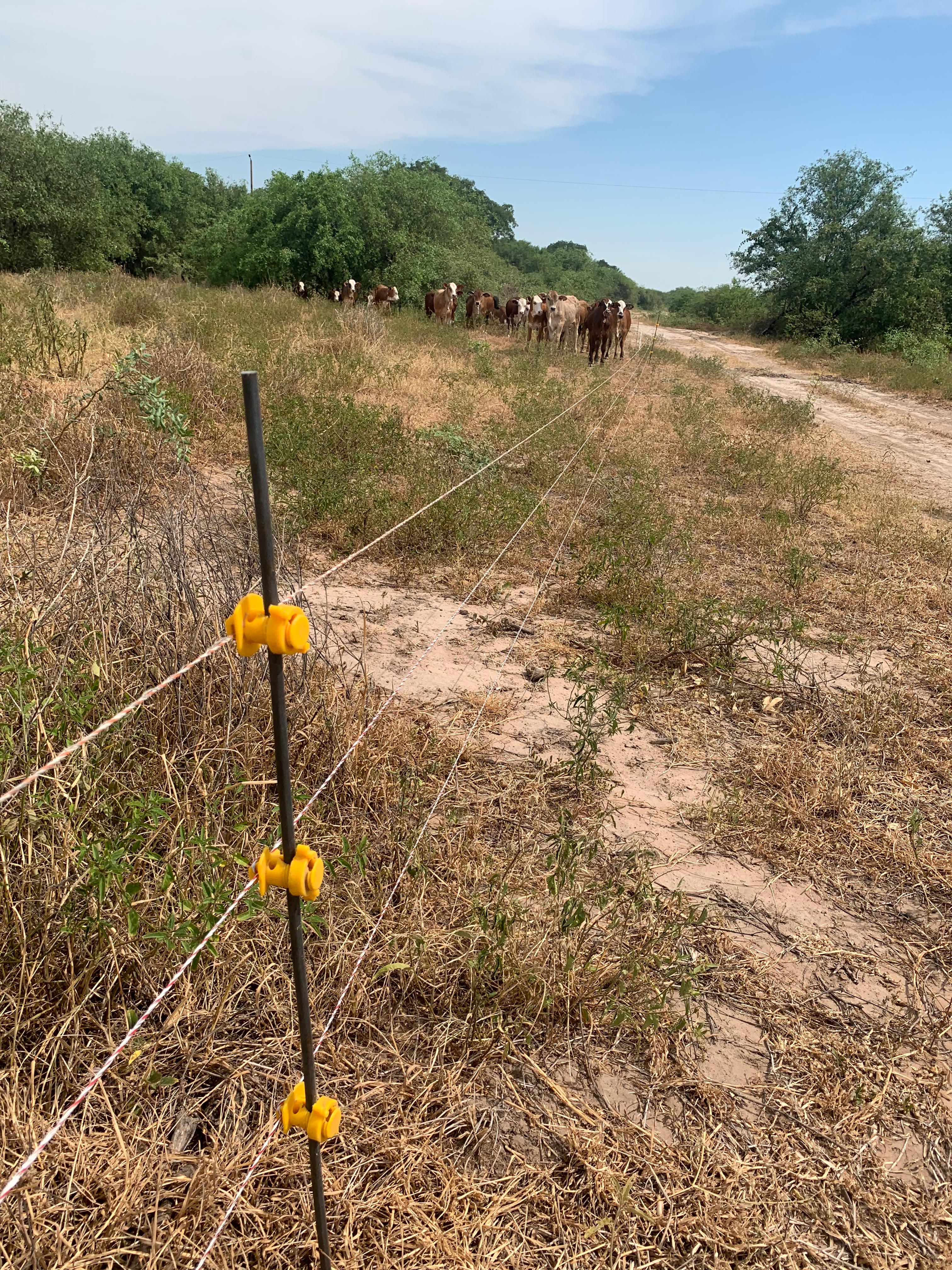 Elektrische Zäune mit Solar